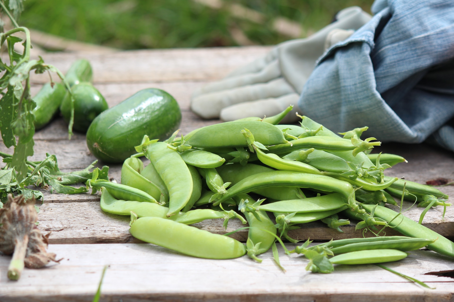 Read more about the article How to Make the Most of Your Kitchen Gardening Harvest: Preserving and Storing Your Produce