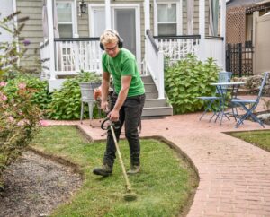 Read more about the article How to landscaping 101: the Essential Guide