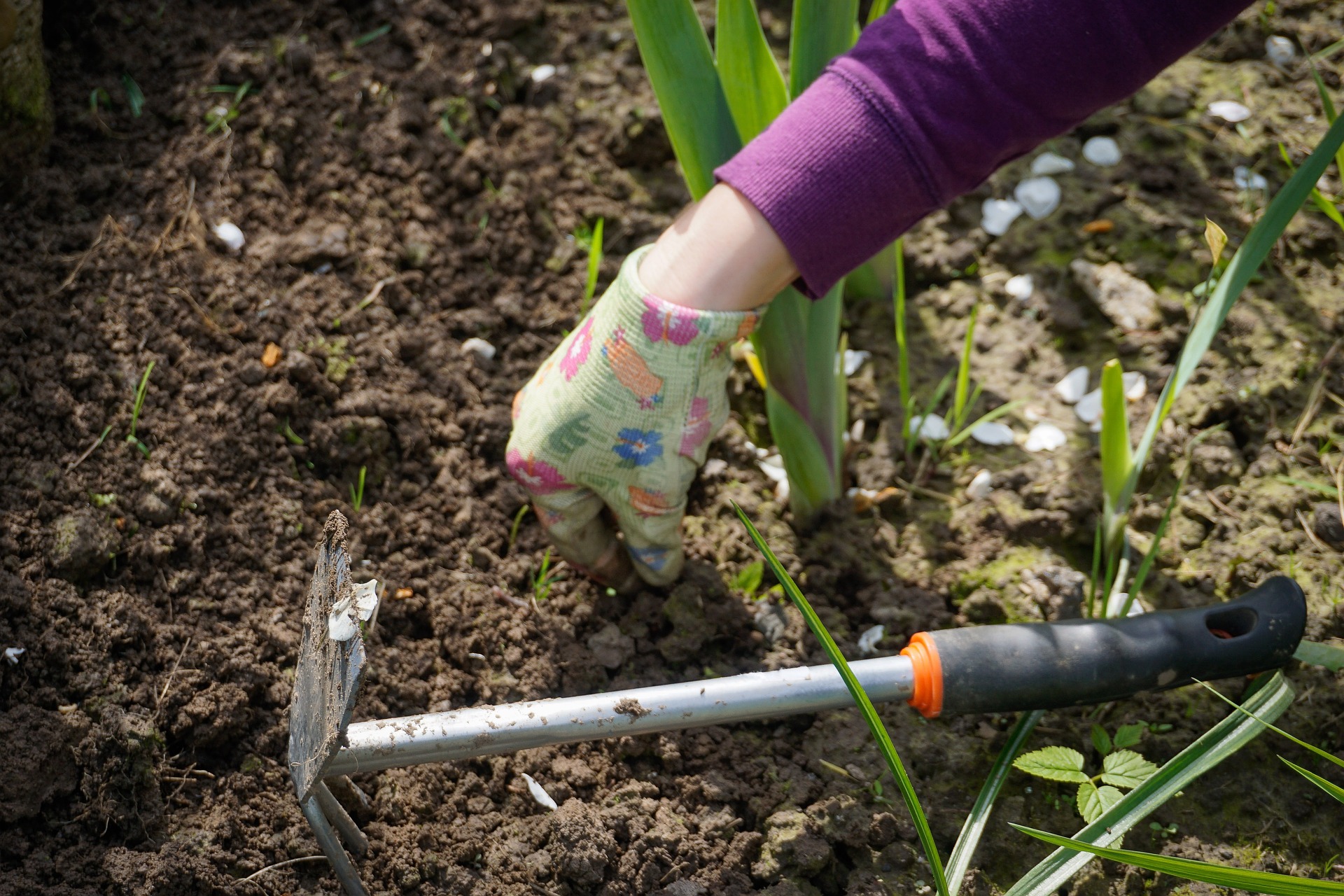 Read more about the article 6 Time-Saving Gardening Tools Groups that Every Busy Gardener Needs