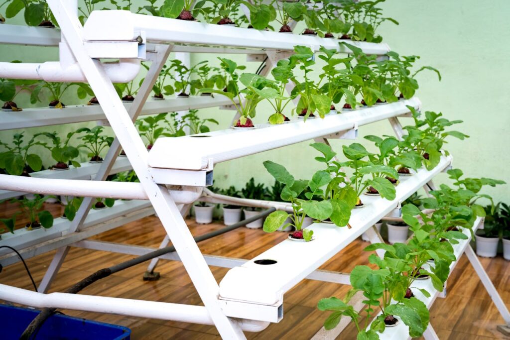 vertical-vegetable-garden